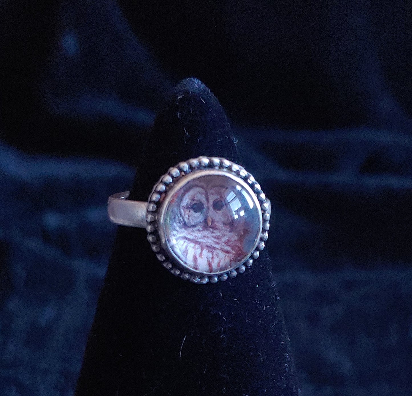 Owl in the looking glass