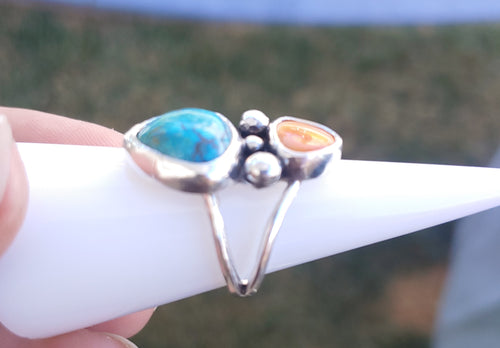 Turquoise and Spiny Oyster